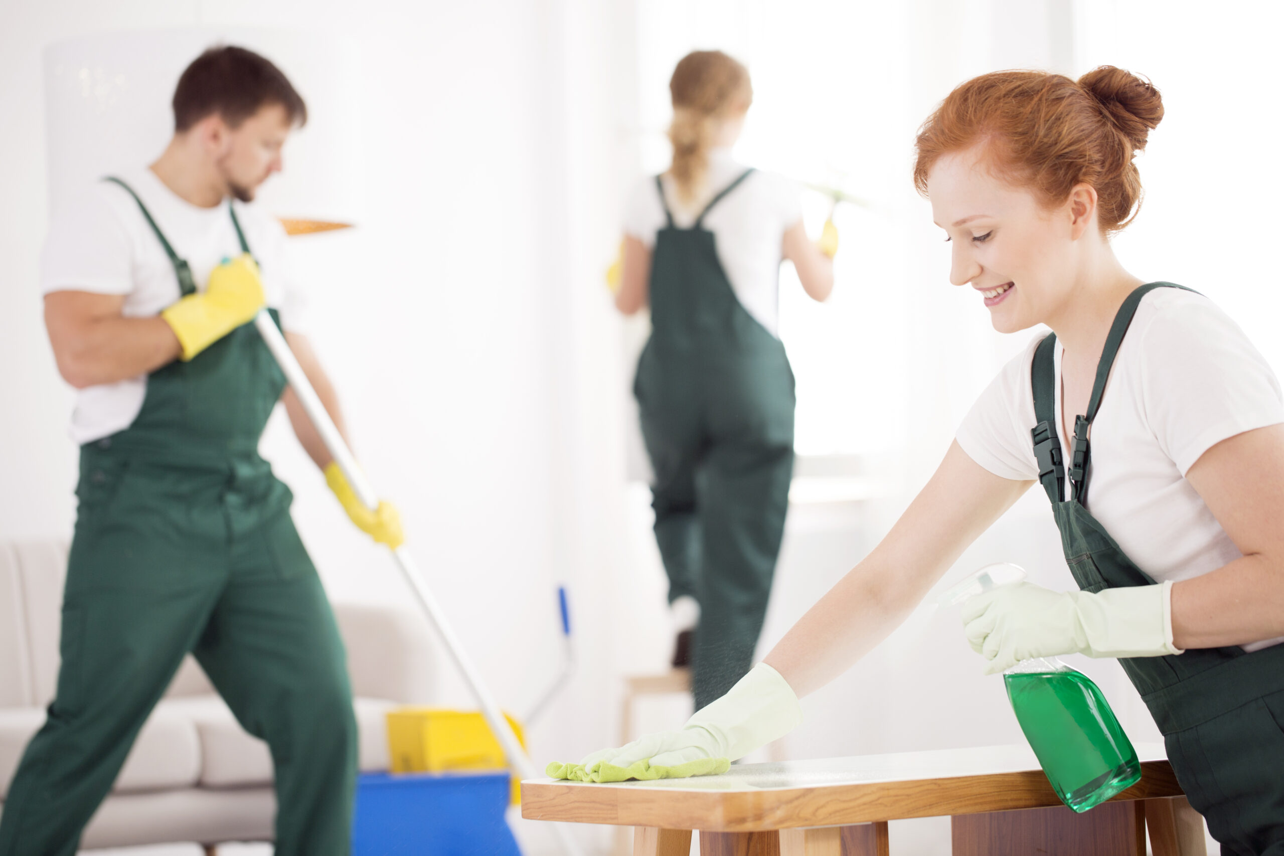 cleaning service during work